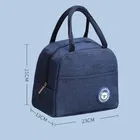 Insulated Tiffin & Lunch Bag, Pink & Blue Combo Set of 2
