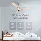 Longway Creta P1 1200 mm 3 Blade Ceiling Fan  