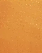 Chiffon Printed Saree for Women 