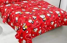 Polycotton Double Bedsheet with 2 Pillow Cover 