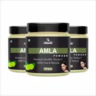 Natural Amla Powder for Skin & Hair 