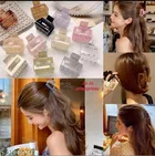 Plastic Hair Clutcher for Women & Girls 