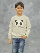 Full Sleeves Sweatshirt for Boys 