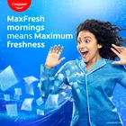 Colgate Maxfresh Red Gel Toothpaste 300 g