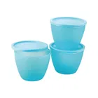 Fresherware Airtight Oval Containers Pack of 3 
