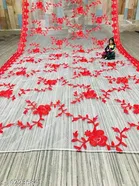 Embroidered Punjabi Net 