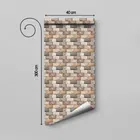 PVC Self Adhesive Wall Stickers 