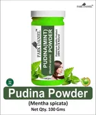 Park Daniel Premium Pudina Powder 