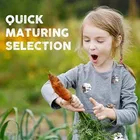 Zello Mixed Vegetable 20 Varieties 