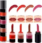 4 in 1 Liquid Lipstick for Women, Multicolor, Pack of 1