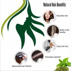 Natural Bhringraj & Jatamansi Powder for Skin & Hair 