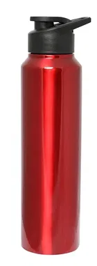 Spring Hydrate Stainless Steel Water Bottle with Regular Sipper Leak Proof & Spill Proof - Maroon
