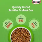 Kite Kat Ocean Fish Adult Cat Food 1 KG