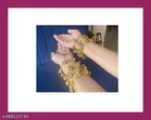 Samridhi 8 pcs Kashmiri Ghunghroo Bangles