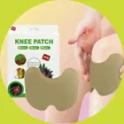 Knee Pain Relief 10 Pcs Heating Patch 
