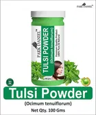 Park Daniel Pure & Natural Tulsi Powder & Indigo Leaf Powder 