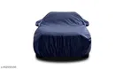 Taffeta Cover for Car, Multicolour