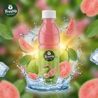 Freshly Guava Juice 250 ml 