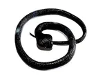 Rubber Toy Snake (Black)