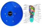 Waist Twister Disc 