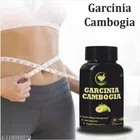Fij Ayurveda 60 Pcs Garcinia Cambogia Capsule