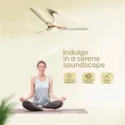 Longway Wave P1 1200 mm 3 Blade Ceiling Fan  