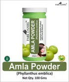 Park Daniel 100% Pure & Natural Amla Powder & Indigo Leef Powder 