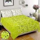 Cotton Queen Bedsheet with 2 Pillow Cover 