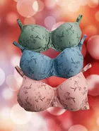 Padded Full Coverage Bra for Women, Pack of 3 