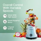 Longway Sage Juicer Mixer Grinder 