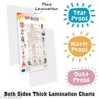 Bookford Publications Both Sides Big Laminated Charts – Fruits & Healthy Food 