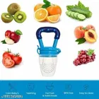 Value Pack Of Fruit Feeder,Teether And Silicone Brush