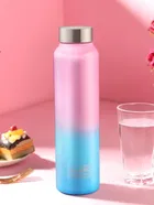 Stainless Steel Water Bottles 