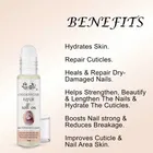 Laugha Nail Fungus Treatment Oil 