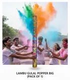 LAMBU Big Gulal Popper For Holi Party 