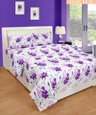 Printed Double Bedsheet with 2 Pillow Covers 