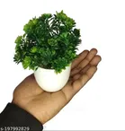 Artificial Plants with Pot 