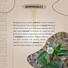 My Bodycare Bhringraj Oil for Hair Growth 