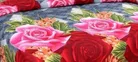 Printed Double Bedsheet with 2 Pillow Covers 