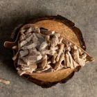 शादानी खट्टा मीठा आमपक 100 g