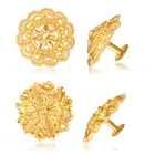 Alloy Earrings for Women 