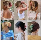 Plastic Hair Clutcher for Women & Girls 