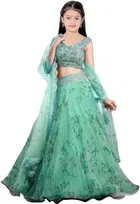 Net Embroidered Semi Stitched Lehenga for Girls 