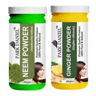 Park Daniel 100% Pure & Natural Neem Powder & ginger Powder 