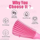 Detangler Hair Brush – Wet or Dry Hair Detangling Brush and Comb For Curly, Wavy Hair, Detangle Easily or Long Straight Hair 