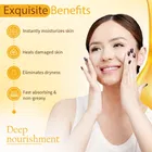 Ayouthveda Dates & Honey Moisturising Cold Cream 50 ml