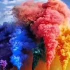 Holi Colour smoke fog for wedding parties and festivals Holi Color Powder 