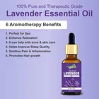 Organics Best Lavender Essential Oil, 100% Natural & Pure, for Hair, Skin, Face 