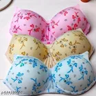 Cotton Printed Bra for Women & Girls, Multicolour, Pack of 3 