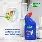 ब्राइटएक्स टॉयलेट क्लीनर 500 ml